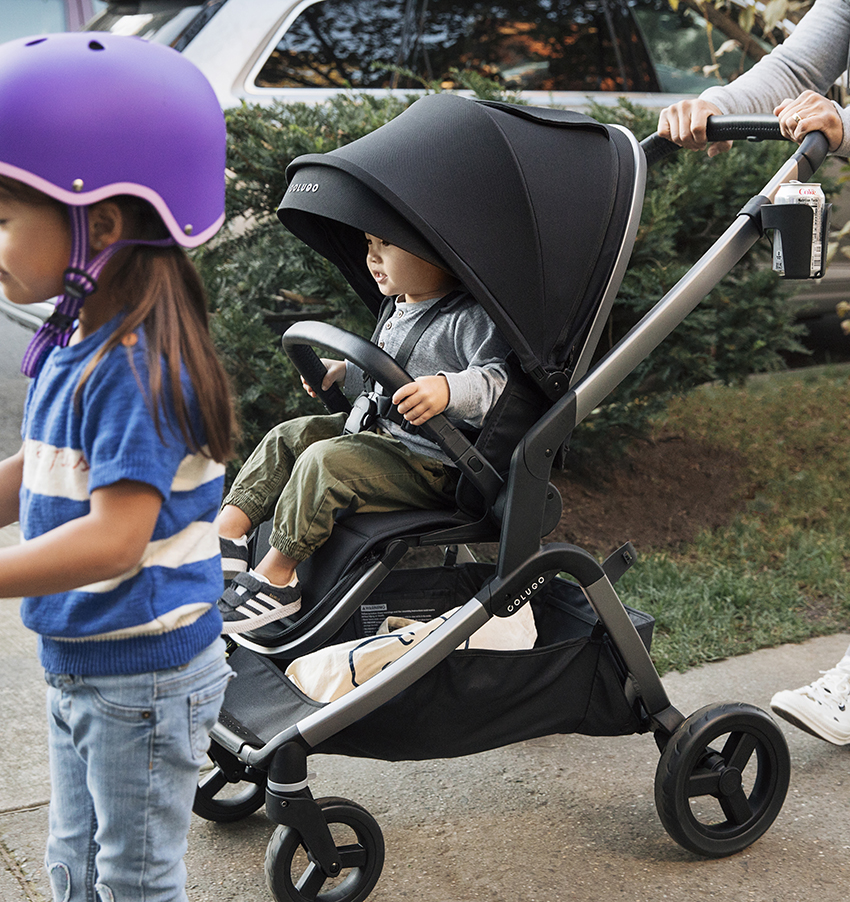 The Complete Stroller Colugo