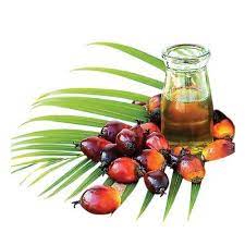 Food, Tableware, Plant, Liquid, Ingredient, Fruit, Natural foods, Cuisine, Serveware, Art paint