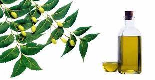 Liquid, Solution, Oil, Plant, Drinkware, Bottle, Flower, Fluid, Wheat germ oil, Extra virgin olive oil