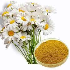 Flower, Plant, Petal, camomile, Yellow, Chamaemelum nobile, Cuisine, Ingredient, Tableware, Annual plant