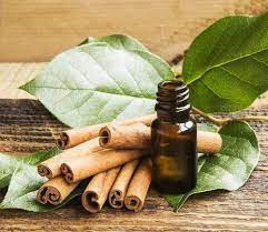 Plant, Green, Wood, Ingredient, Spice, Fines herbes, Cinnamon, Tobacco, Seasoning, Liquid