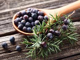 Food, Plant, Natural foods, Fruit, Terrestrial plant, Evergreen, Grass, Wood, shortstraw pine, Natural material