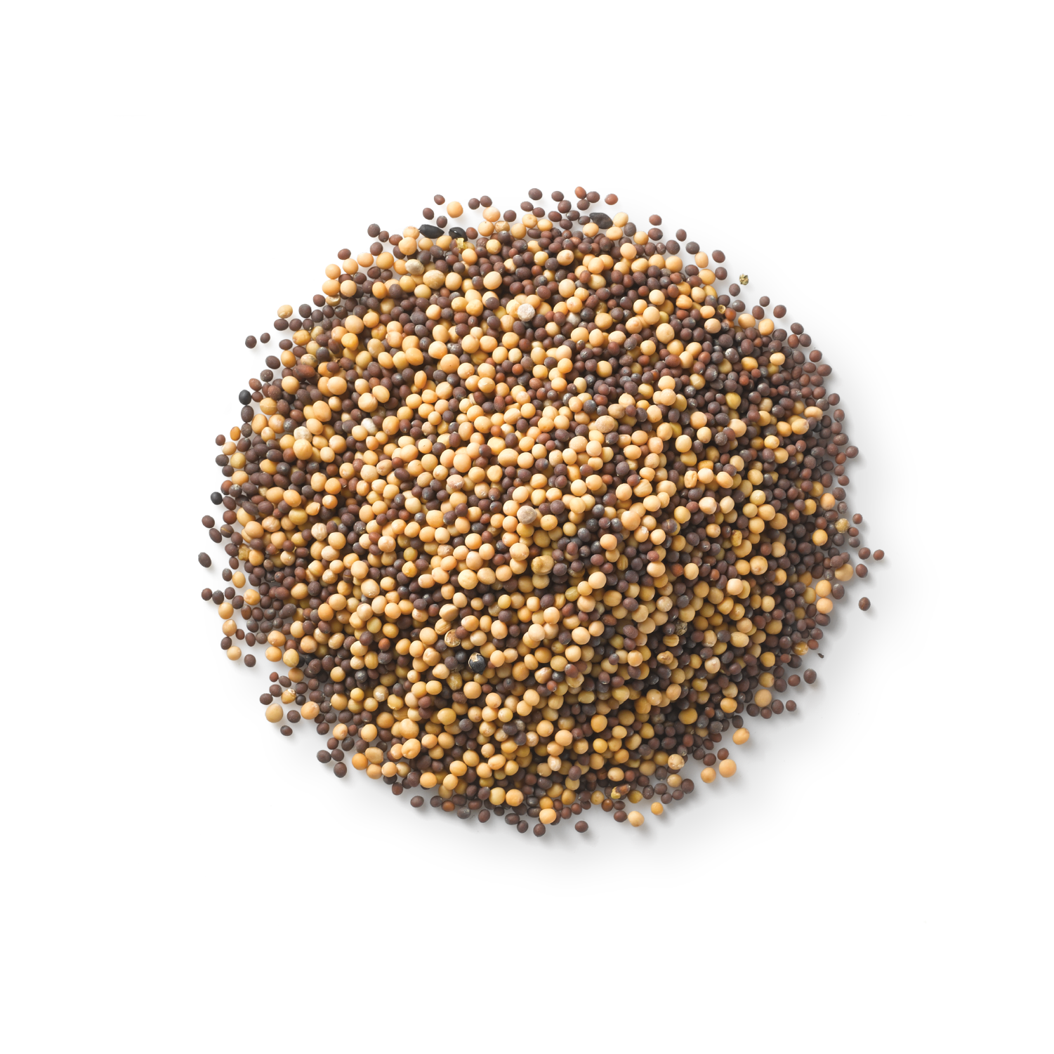 Calming Digestive Spices
