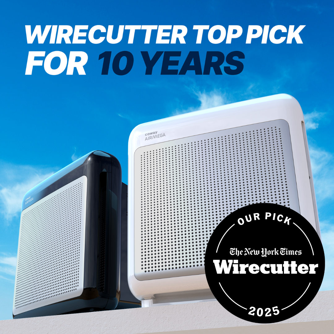 200M is one of wirecutter's top air purifier of 2025