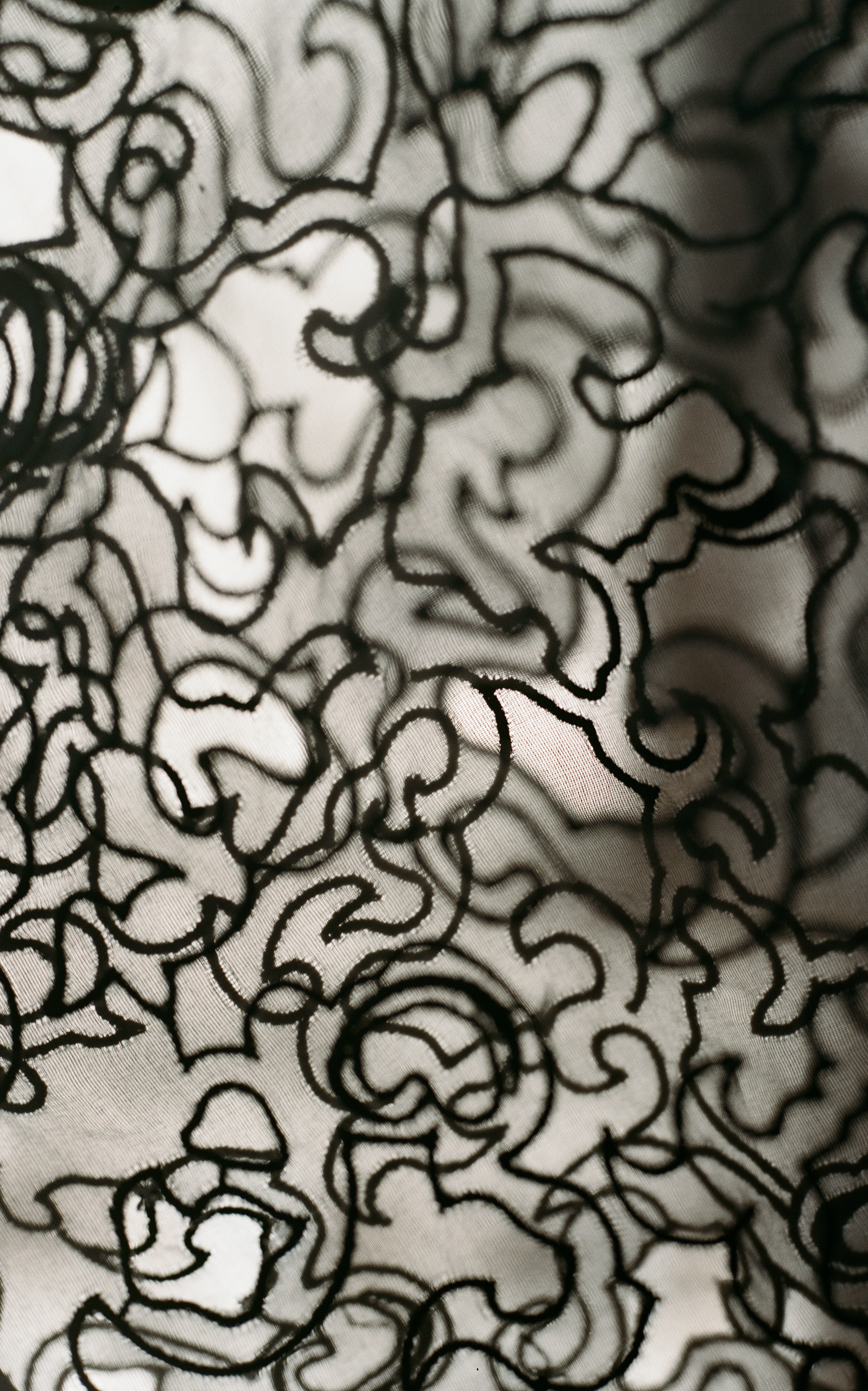Promotional Banner