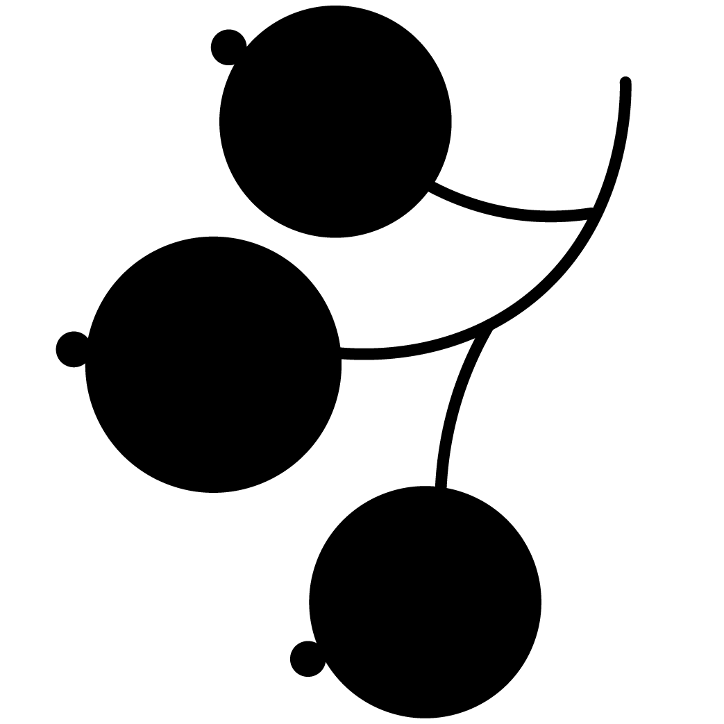 Schwarze Johannisbeere