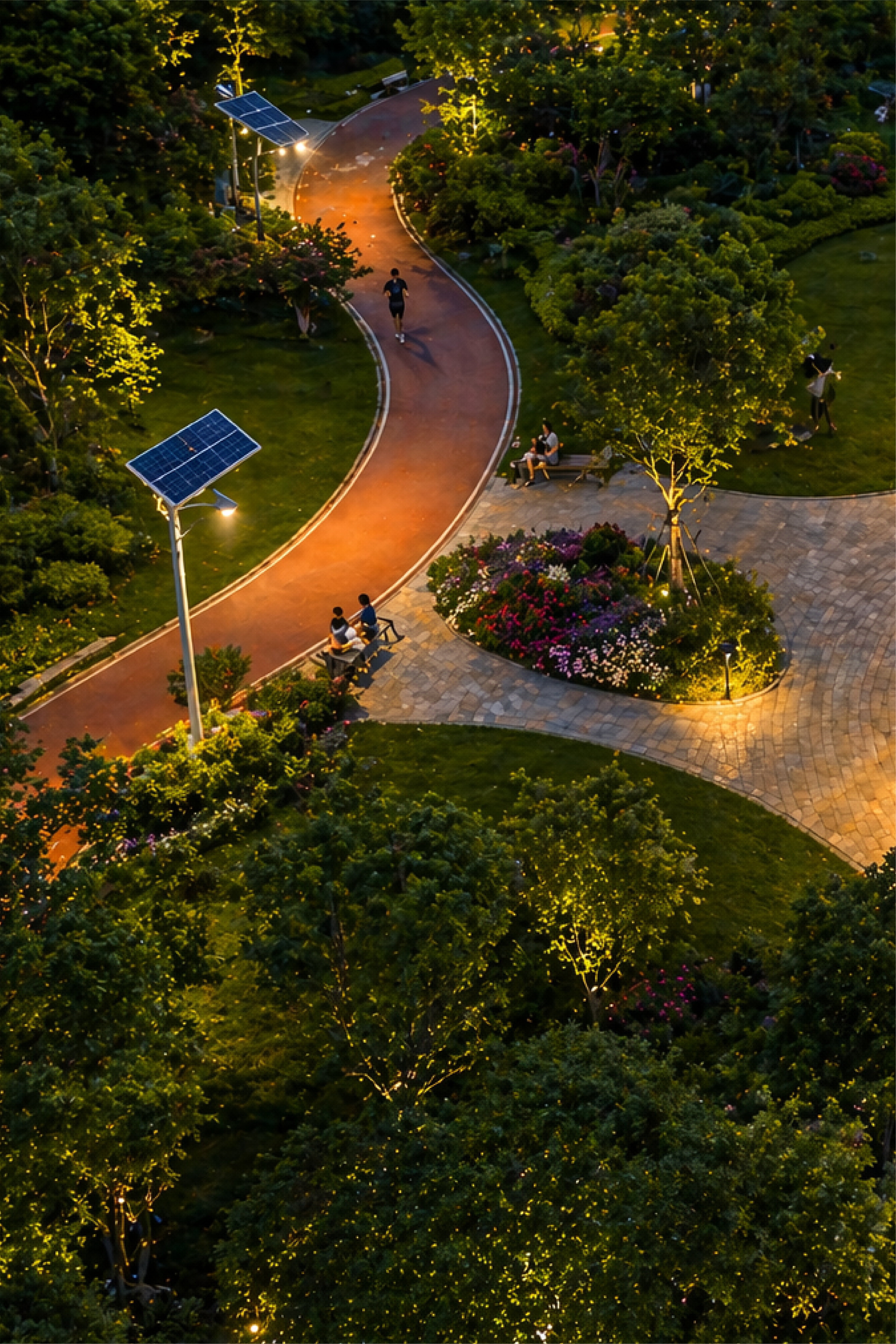Professional Lighting Solar