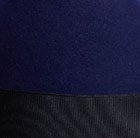 Electric Blue
