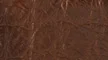Brown / 36-swatch