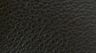 Black / 13-swatch