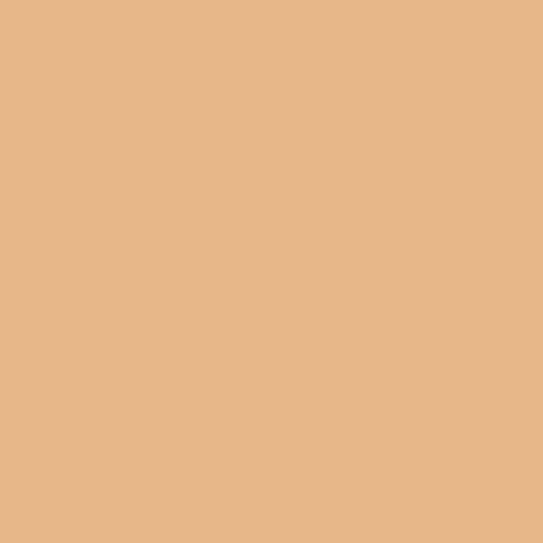 Black Pine Foundation Thumbnail 2