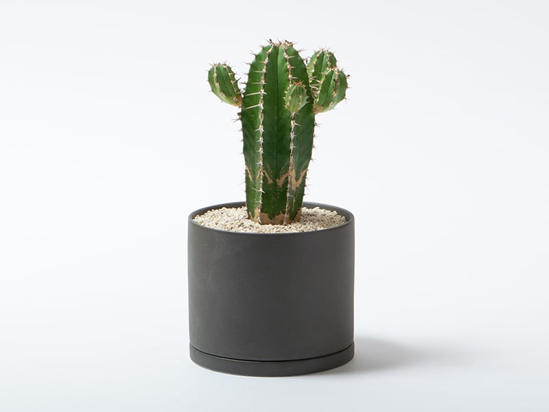 KINTO PLANT POT 191 (⌀135MM/5.4IN) DARK GREY