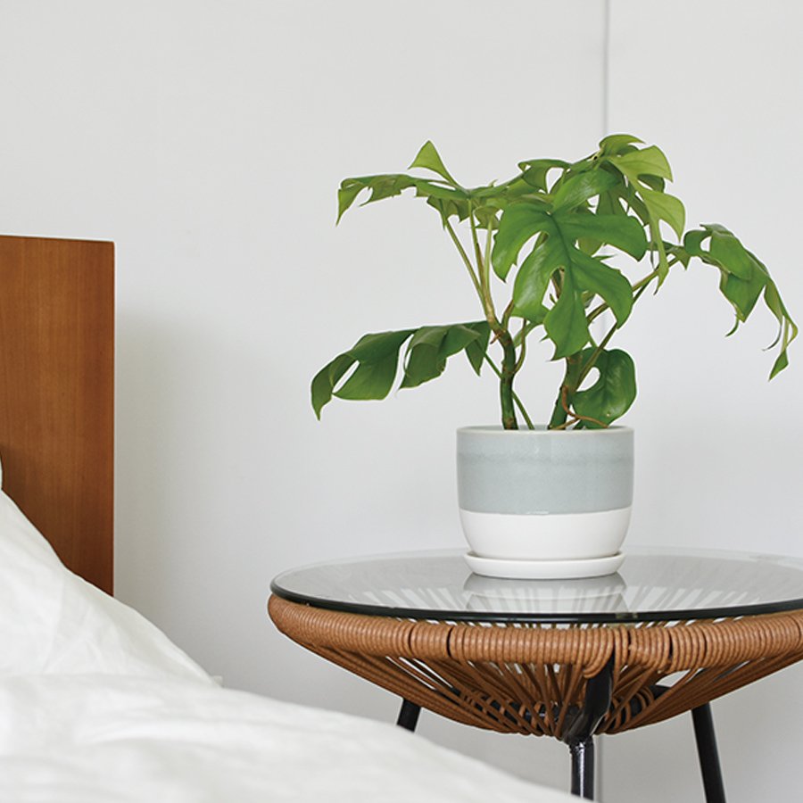 KINTO PLANT POT 193_ 140MM / 6IN BEIGE THUMBNAIL 1