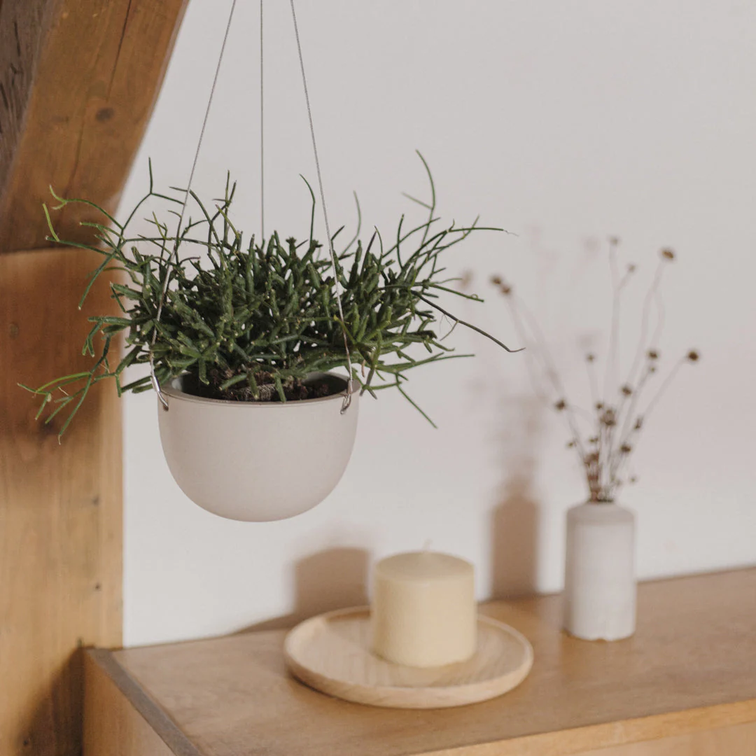 KINTÔ PLANT POT 201 (⌀140 mm/5.5 po) Miniature beige 8