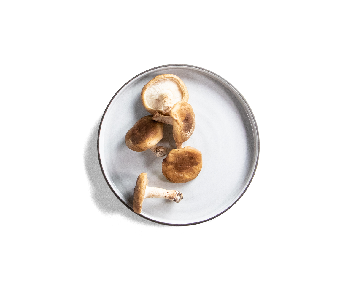 85-square-sided-salad-plate