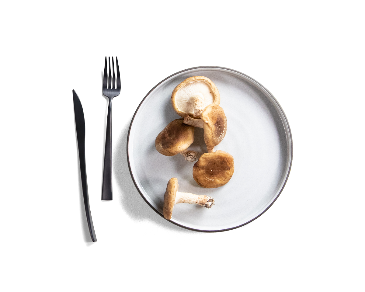 85-square-sided-salad-plate