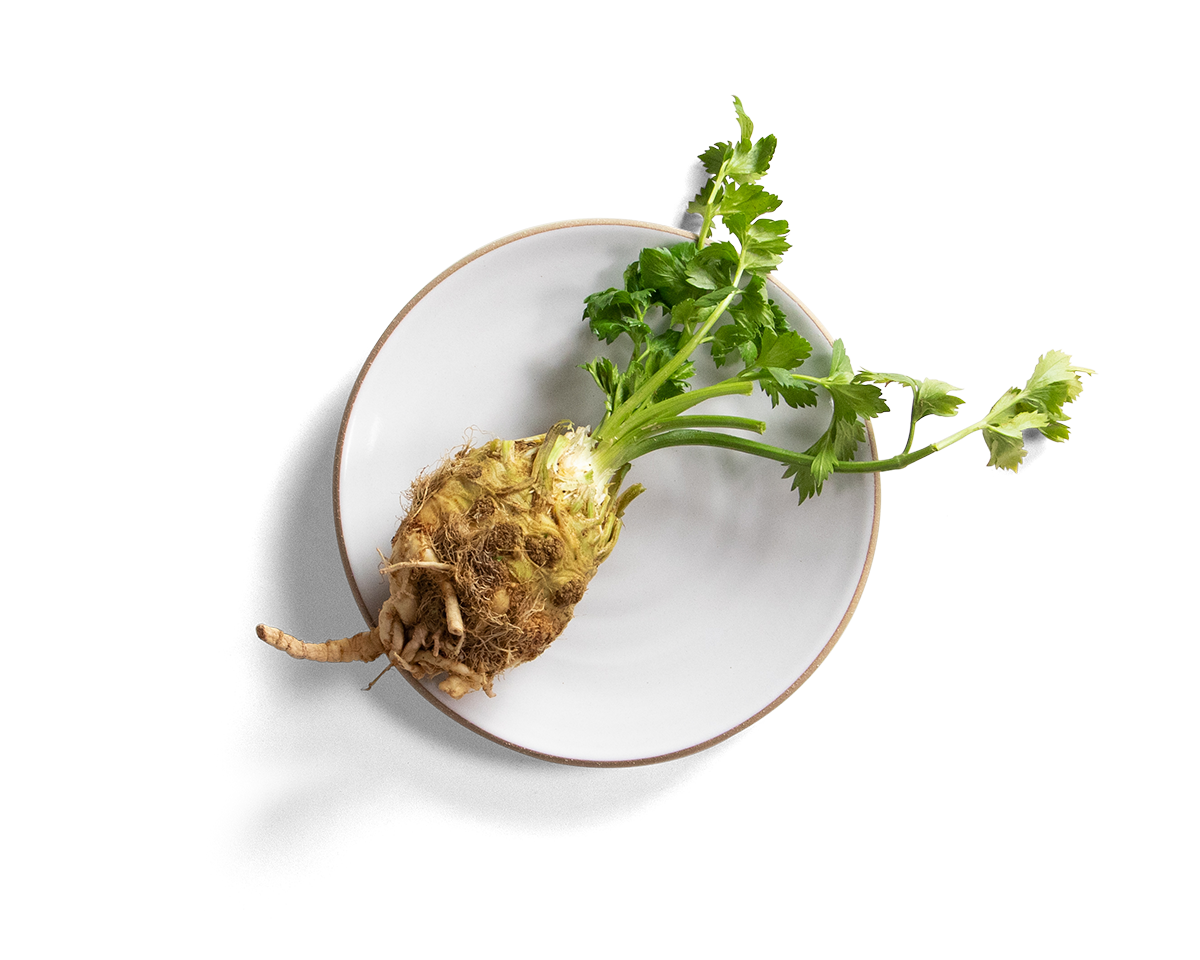 85-coupe-salad-plate