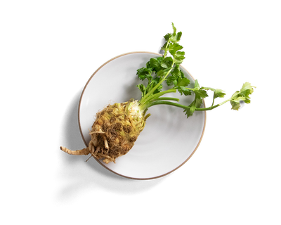85-coupe-salad-plate