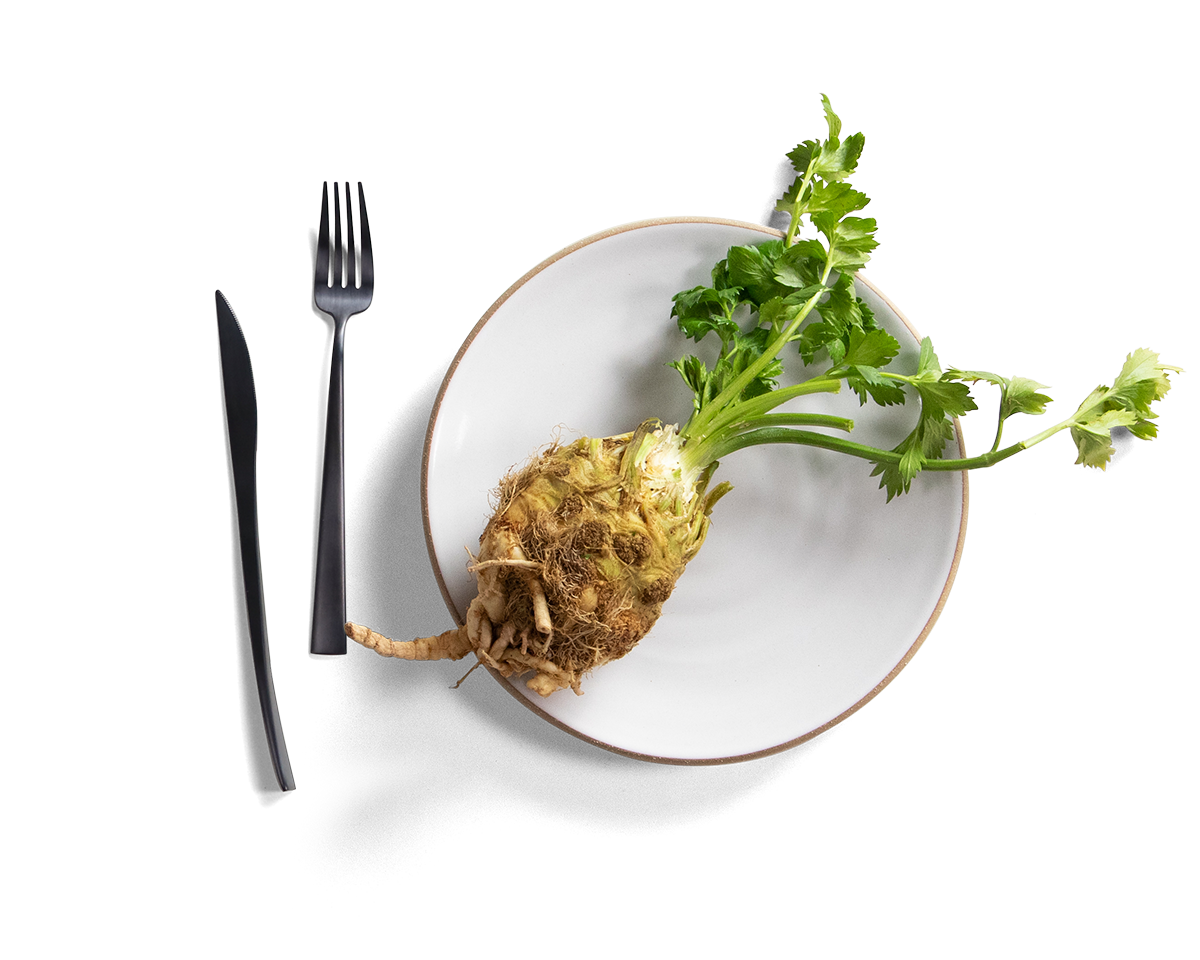 85-coupe-salad-plate