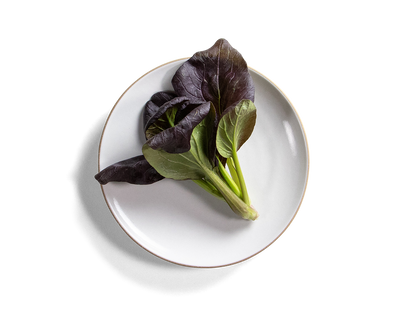 105-coupe-entree-plate