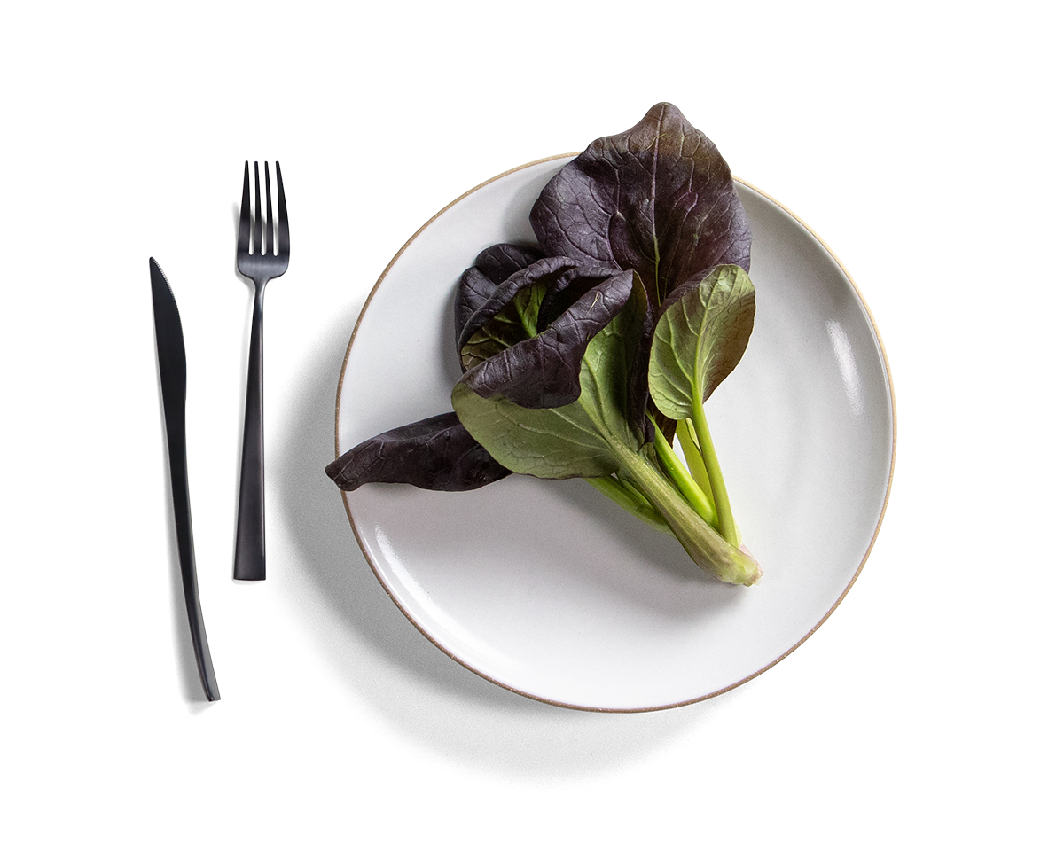 105-coupe-entree-plate