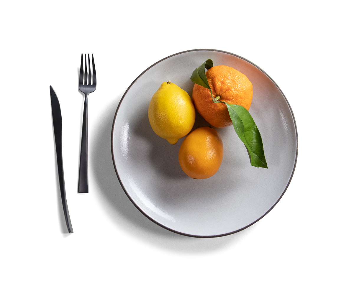 105-coupe-entree-plate