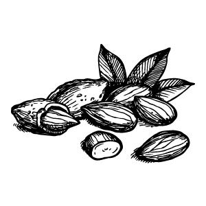 Sweet Almond Oil rich in vitamins A, E, F, promoting collagen production and hydrating dry skin