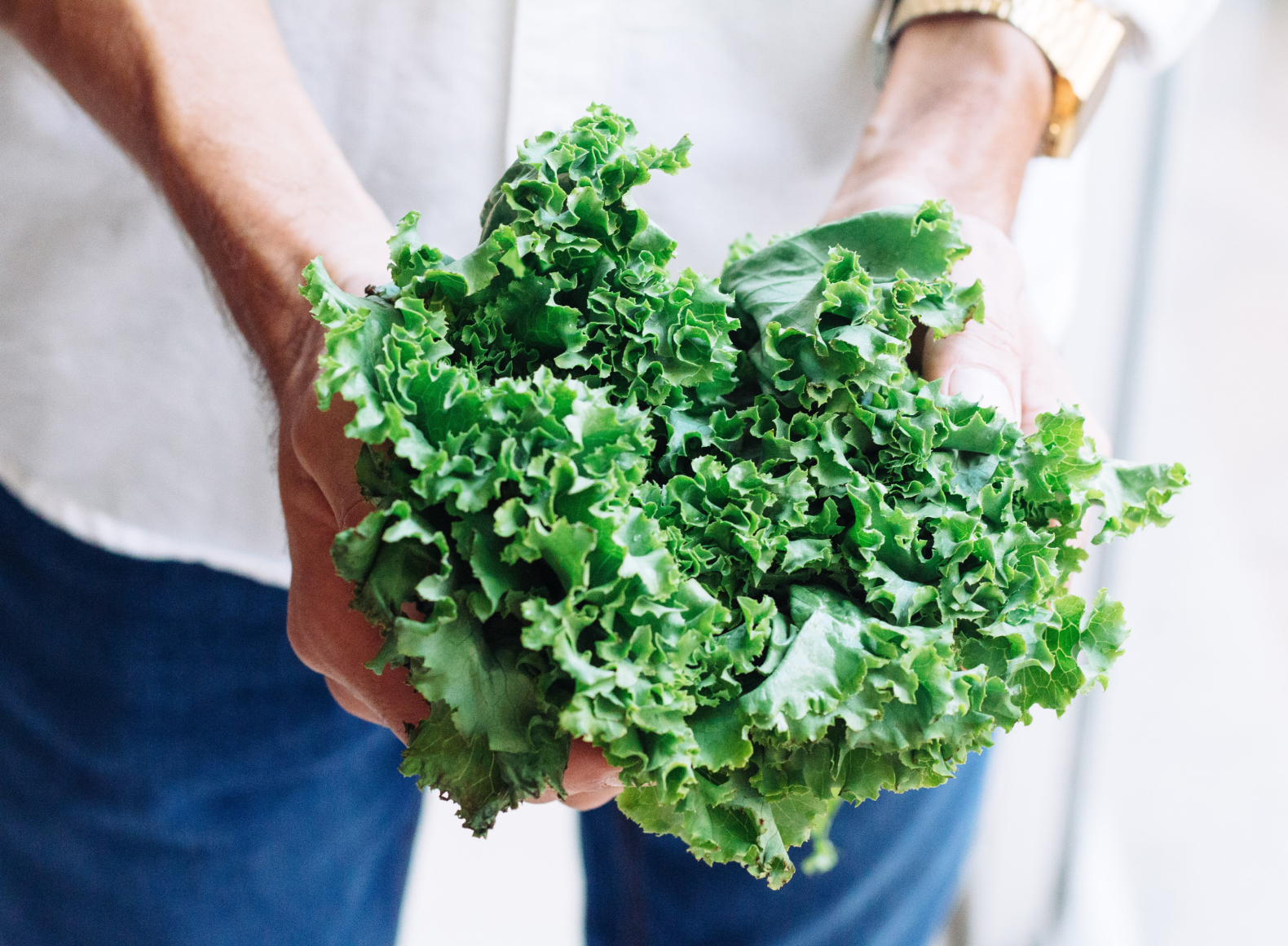 Salad Greens