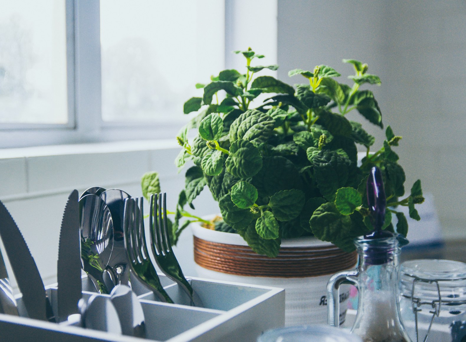 Herbs