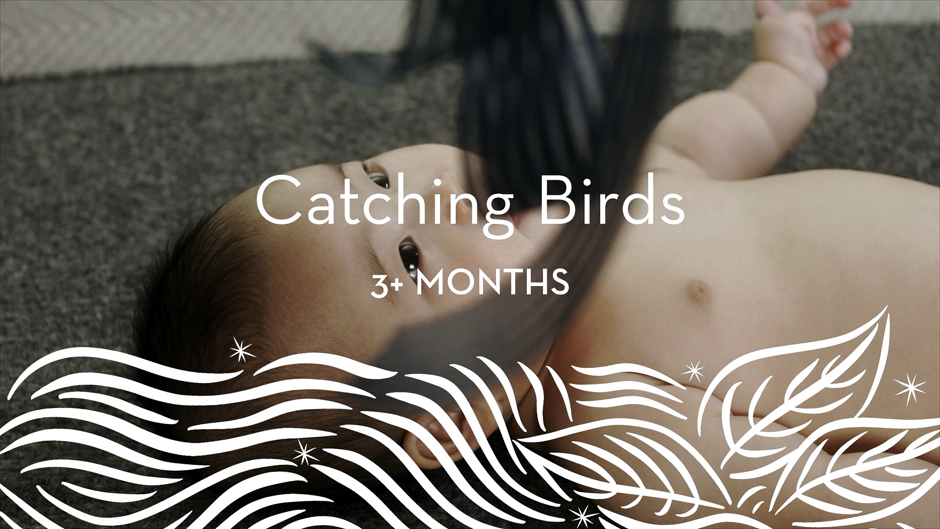 3+ | Catching Birds