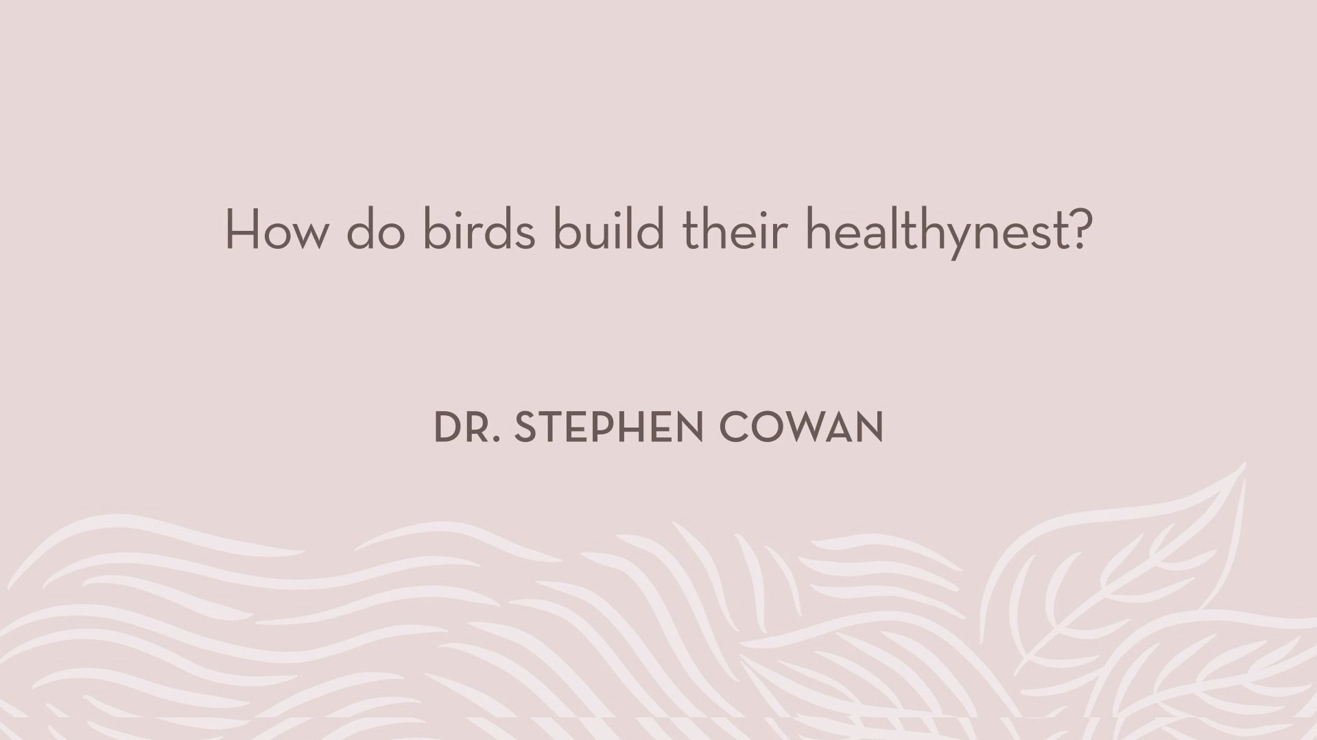 Dr. Cowan | How do birds build their healthynest?