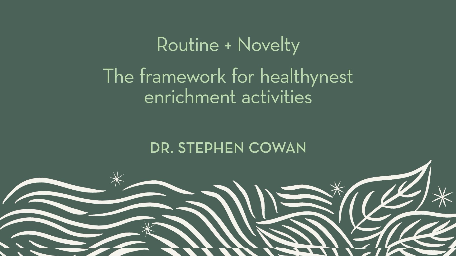 Dr. Cowan | Routine + Novelty - the framework for healthynest enrichment activities