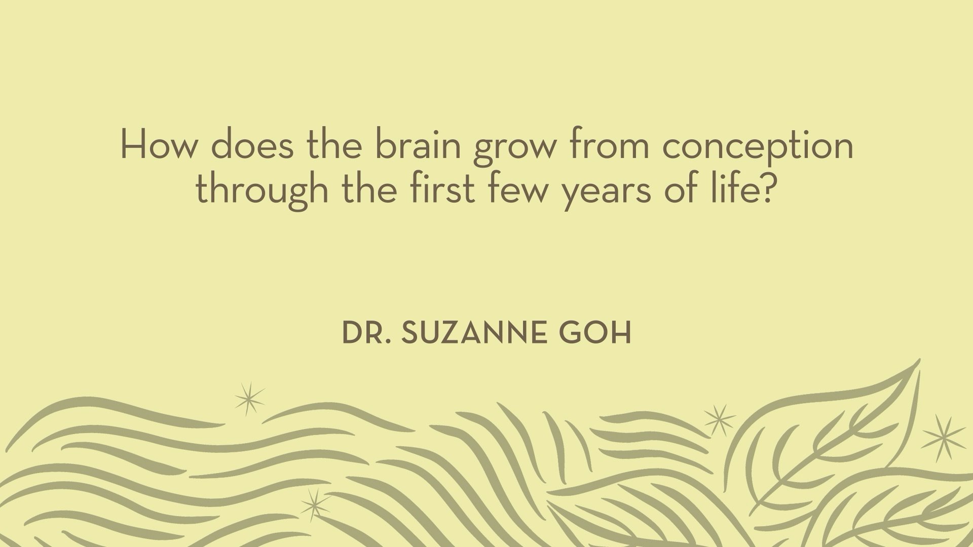 Dr. Goh | How does the brain grow from conception through the first few years of life?