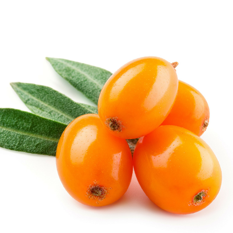 Beauty and the Boutique