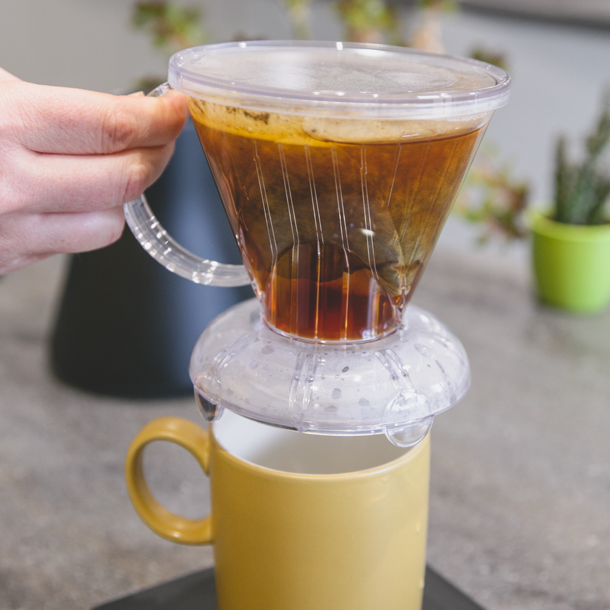 Brew and Drip