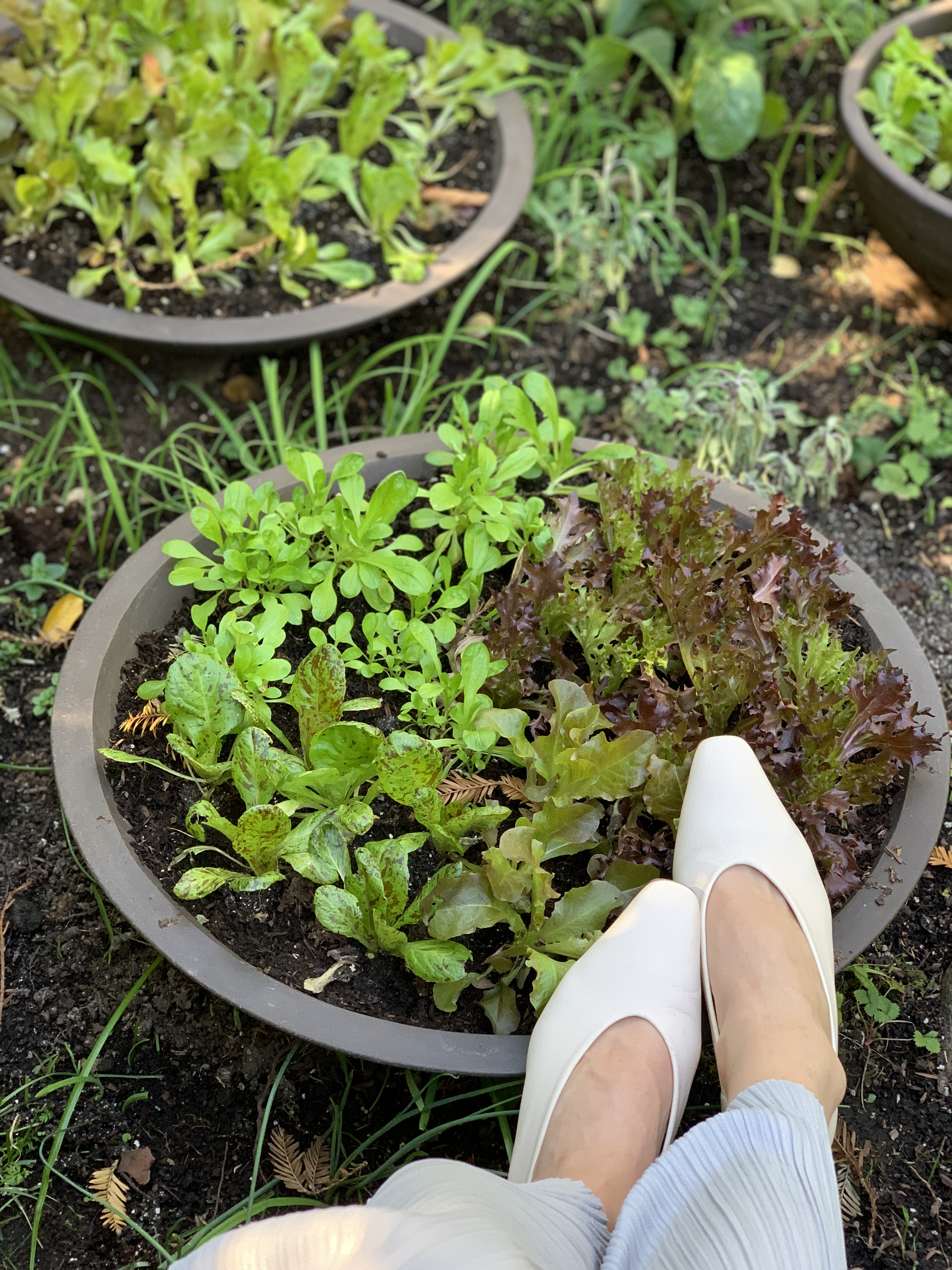 Fanny Singer in LoQ shoes.