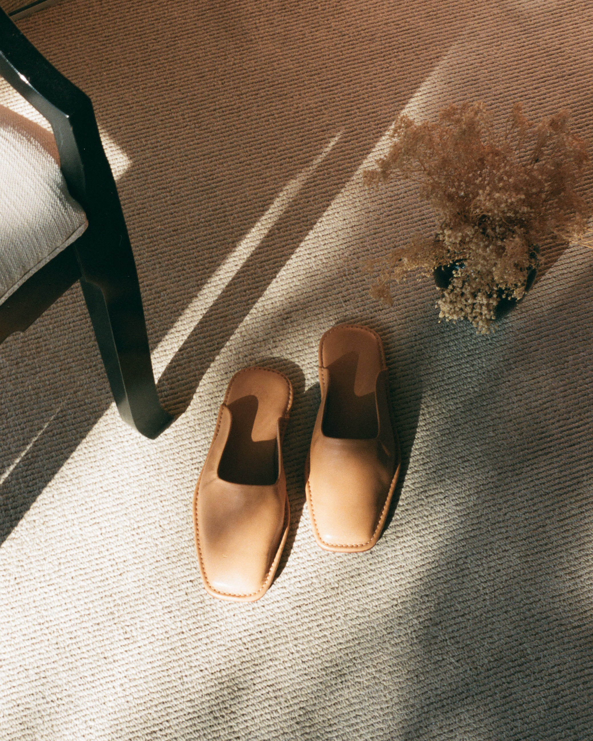 LoQ Shoes