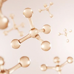 Beauty and the Boutique