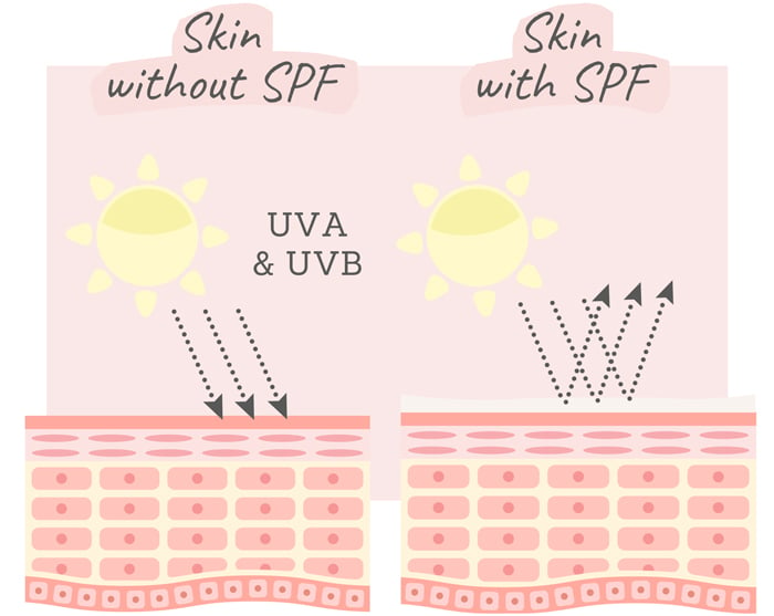 How To Slow Wrinkles Forming with Anti-Ageing Supplements – Beauty and ...