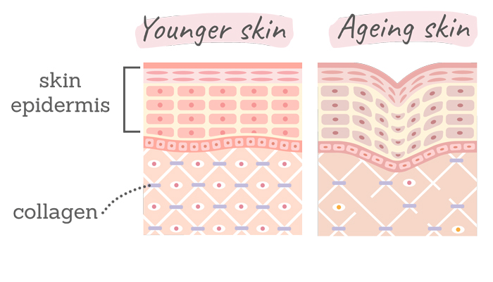 How To Help the Skin Slow Down Age With Collagen Shots – Beauty and the ...