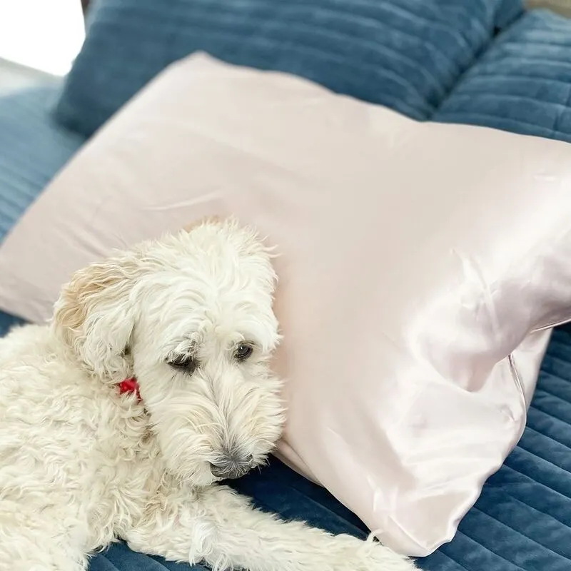 A dog rests its head on a pink silk pillowcase