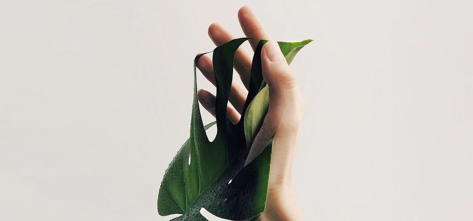 The Benefits of Vegan Skincare