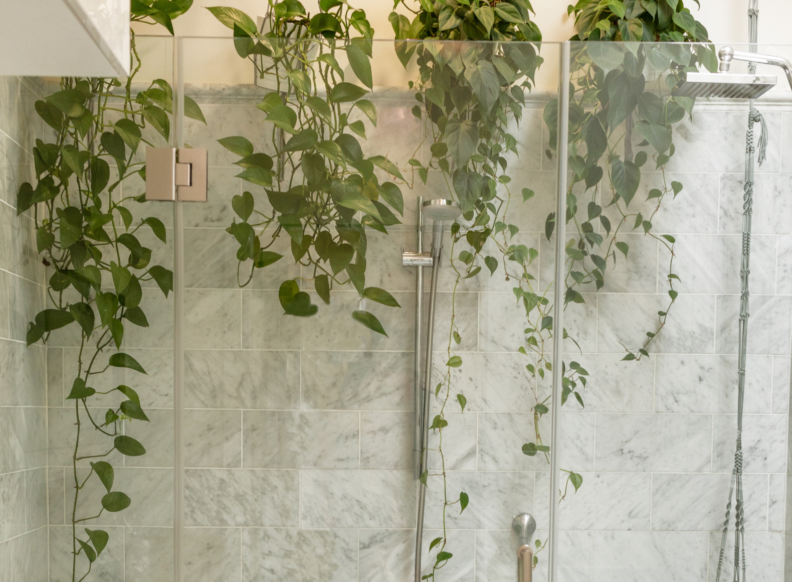 7. Create a Plant Room