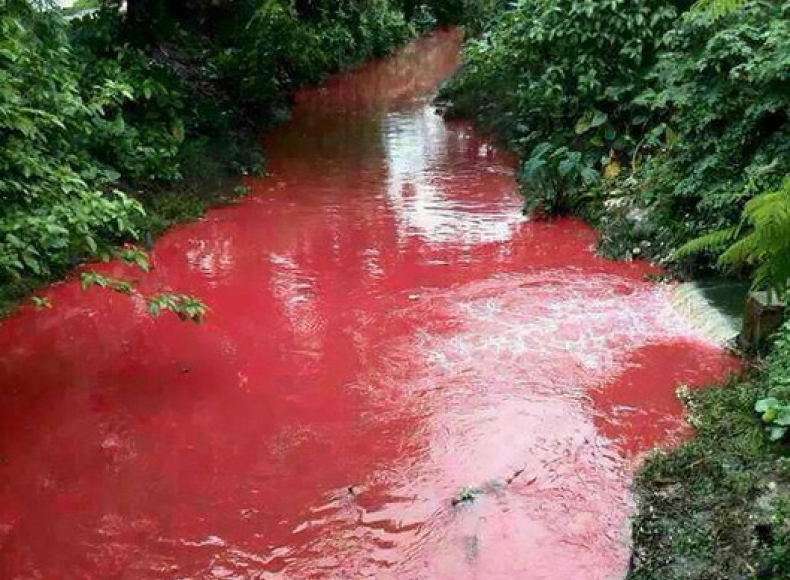Environmental Concerns