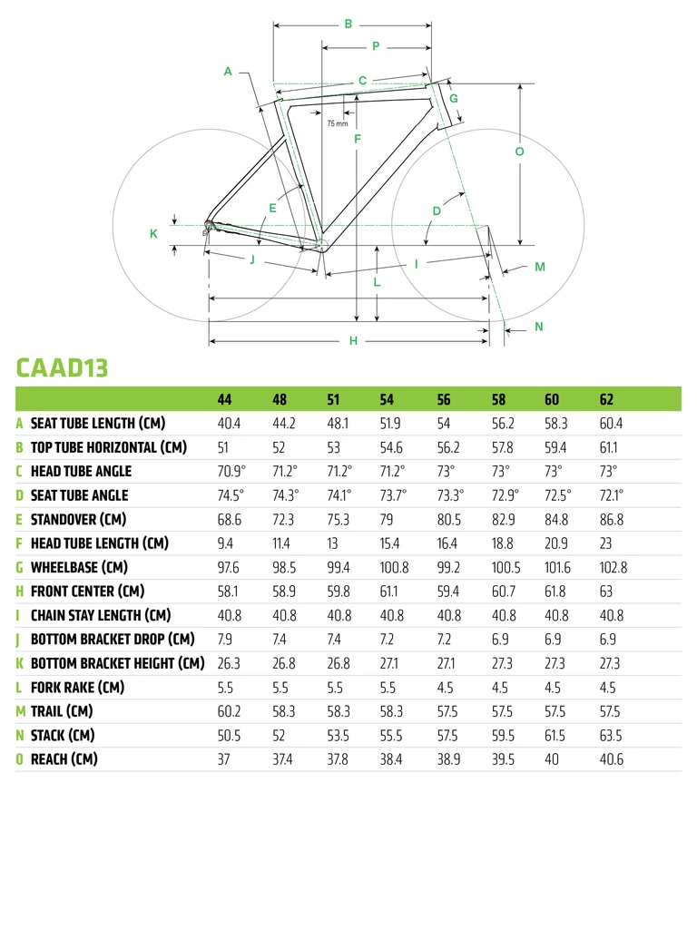 caad13 sizing