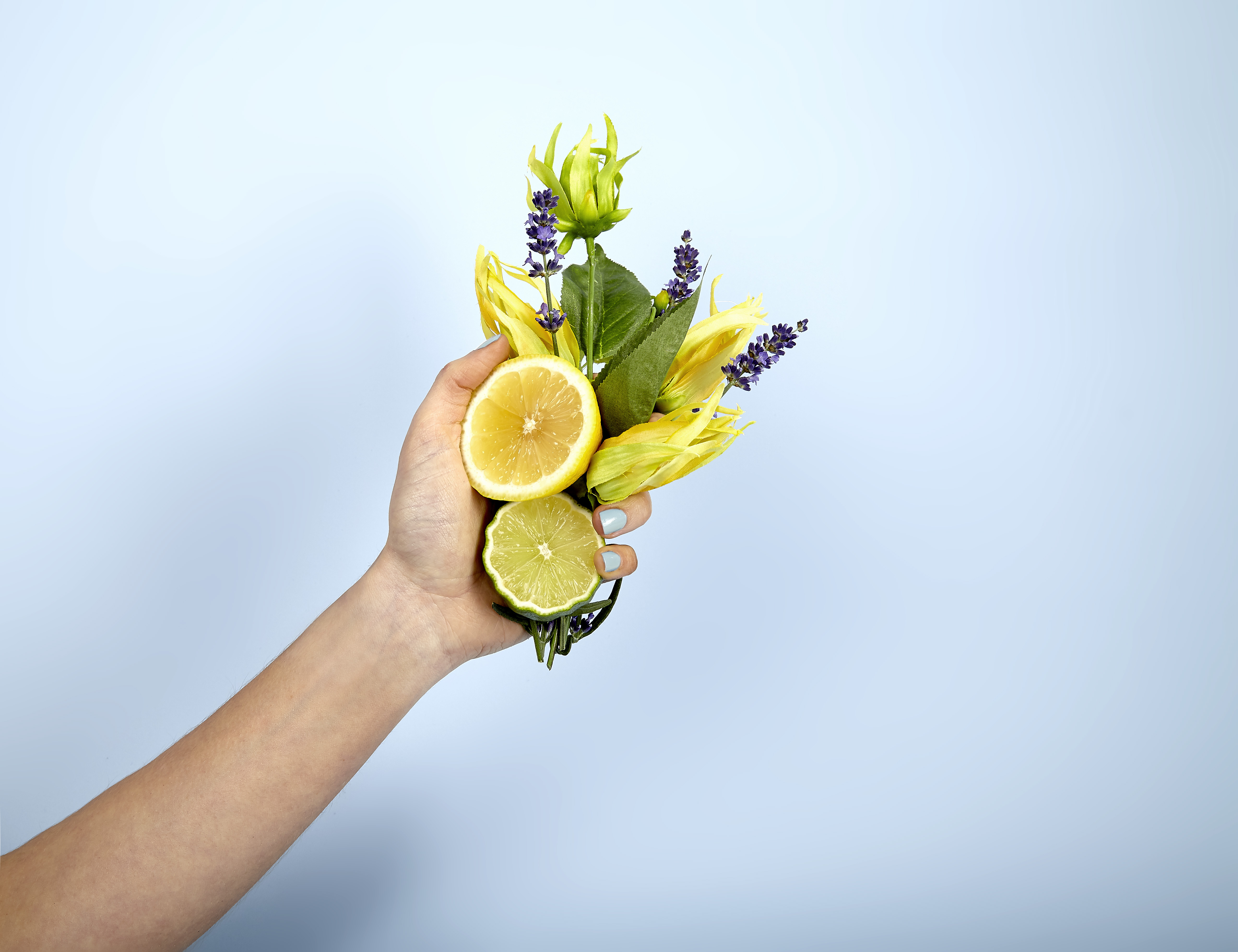Wellbeing Benefits