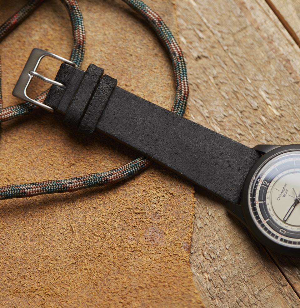 Hoyt Great with a light dial