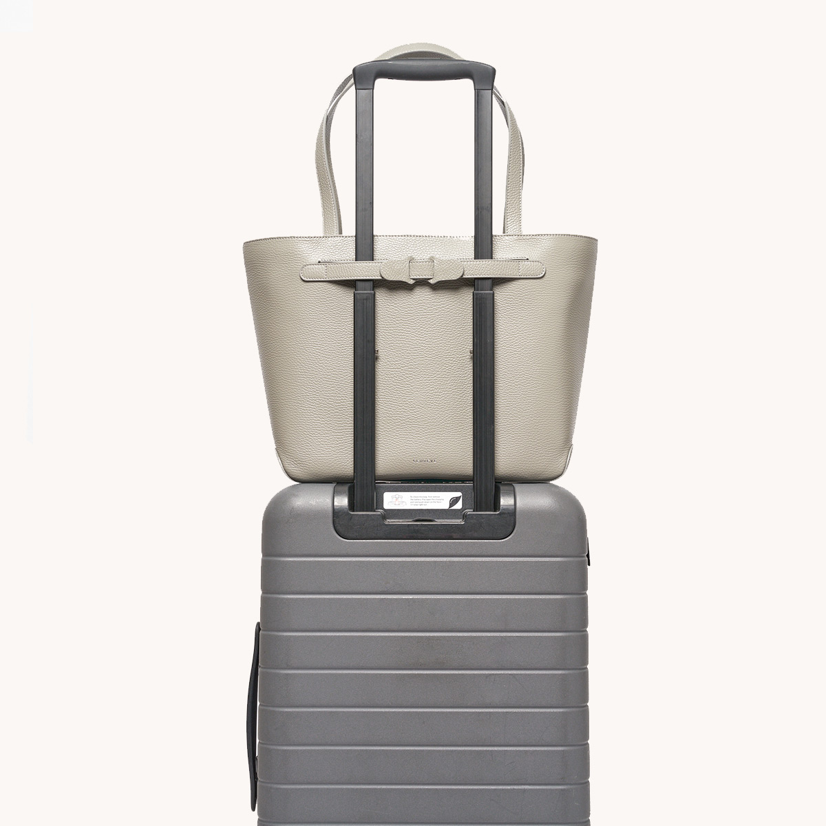 Gemelli Tote | Dolce 6 main