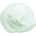 Green Tea Detox / Single