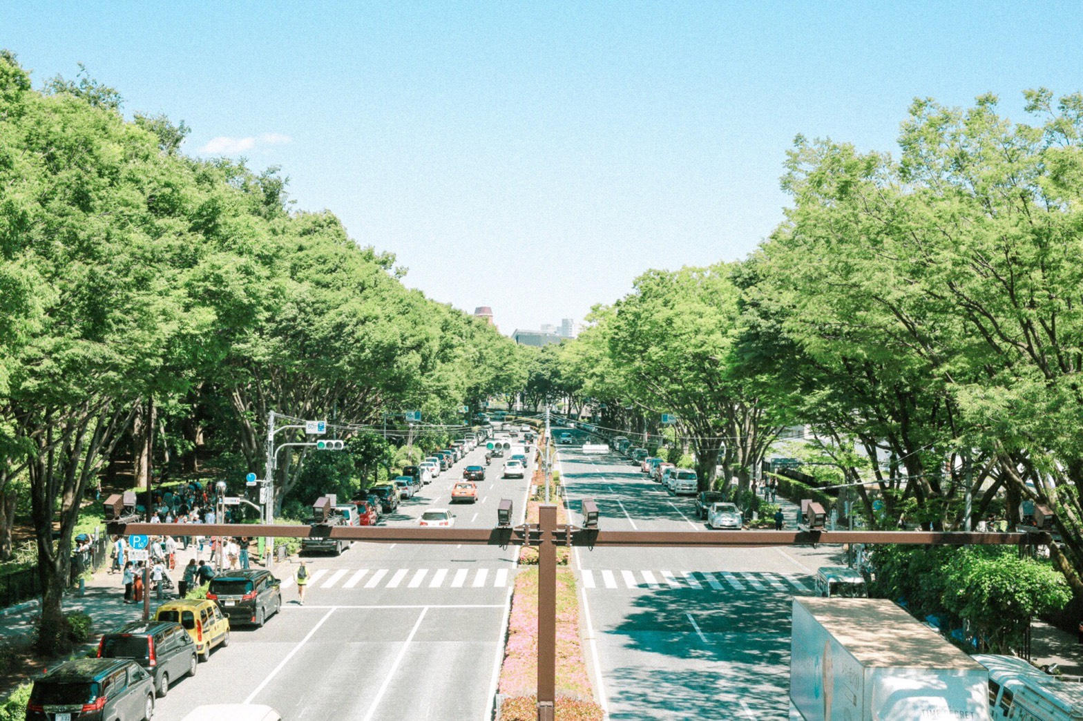 嵐田大志 Curbon 写真教室 関東 湘南